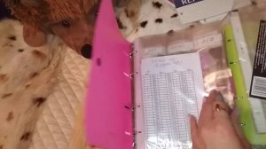 Органайзер для мулине своими руками. Как я теперь храню мулине.