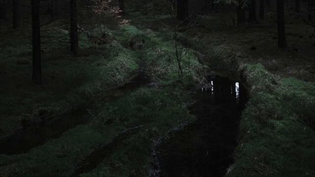 le parole lontane by måneskin (slowed & reverb) смотреть онлайн