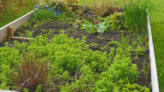 Panasonic GH4 WITH 14 - 42 mm f/3.5-5.6 G VARIO II ASPH Video test смотреть онлайн