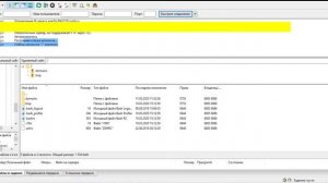 Быстрый старт FileZilla: Разбор интерфейса , работа файлами, как узнать пароль от ftp сервера и тд.