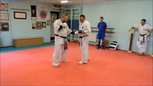 Маваши гедан-барай