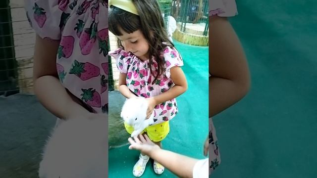 Зверюшки добрюшки