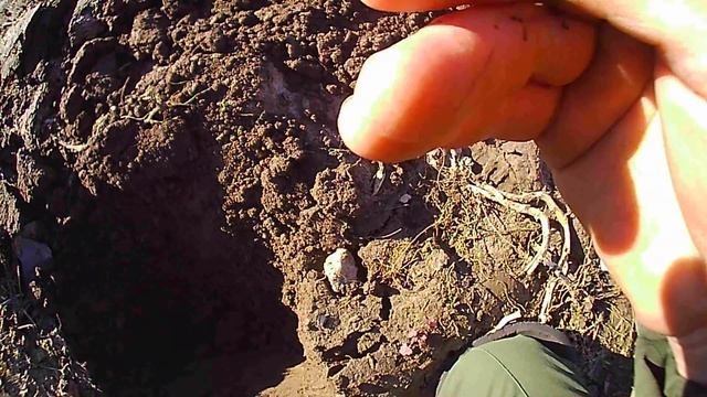 Старое видео.  Старые предметы радуют.
