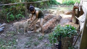 2 Year Living Off Grid | Ep.49 | Build a farm with a full vegetable gardens and fish ponds (p4)