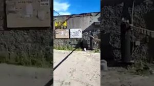 Петля магнитная CAME SMA