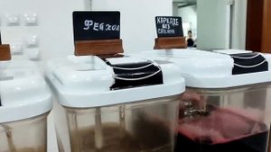 Санаторий "Самшитовая роща" Абхазия .Ужины.Октябрь 2023 г.