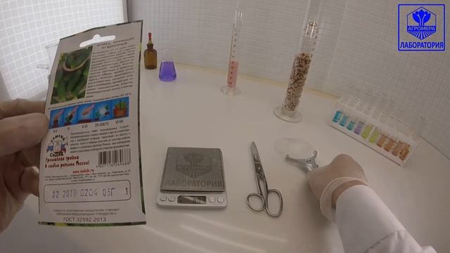 Огурец-корнишон Баночный F1. СеДеК смотреть онлайн