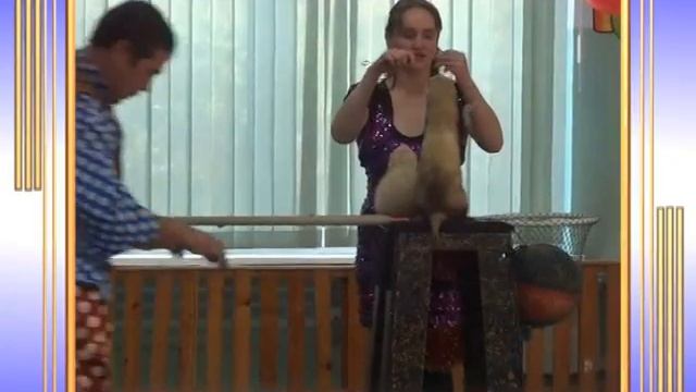 SHOW EXCLUSIVE - Шоу Хорьков "Белых и Пушистых" смотреть онлайн