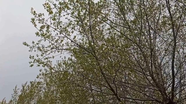 13 мая народный праздник  ДЕНЬ АПОСТОЛА ИАКОВА . что нельзя делать в этот день... народные приметы