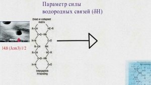 Спиртовой адгезивный протокол.Теория.