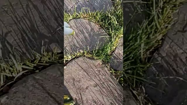 Шаговая дорожка в газоне , стоимость смотреть онлайн