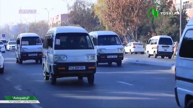 Аслида пиёдалар айбдор, аксарият ҳолатларда беайб хайдовчилар жабр кўради