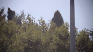 Telescópio Sky-Watcher Mak 90/1250