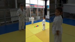 Дзюдо (judo) игровая тренировка на внимательность с фишками. ORTUS.KZ