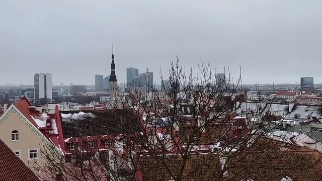 Одна из смотровых площадок Таллина.