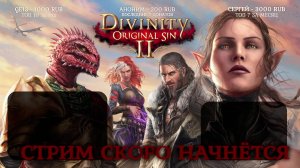 Divinity: Original Sin 2 № 68 ИДЕМ В АРКС. ПЕРВОЕ ВПЕЧАТЛЕНИЕ