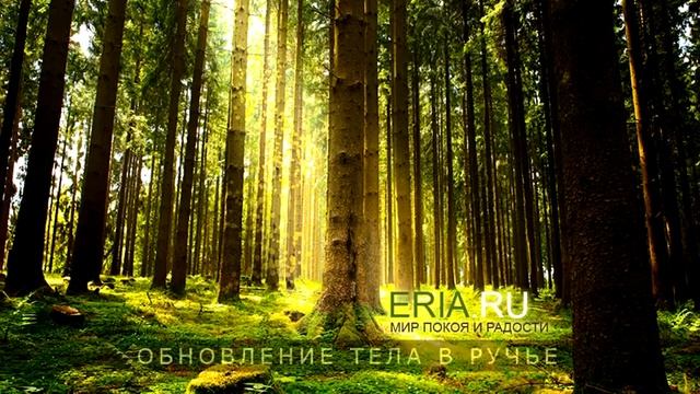 Обновление тела в ручье (медитативное занятие)