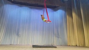 Воздушная гимнастика на петлях.