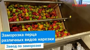 Линия подготовки перца к заморозке или консервации