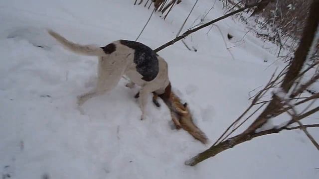 бурчик смотреть онлайн