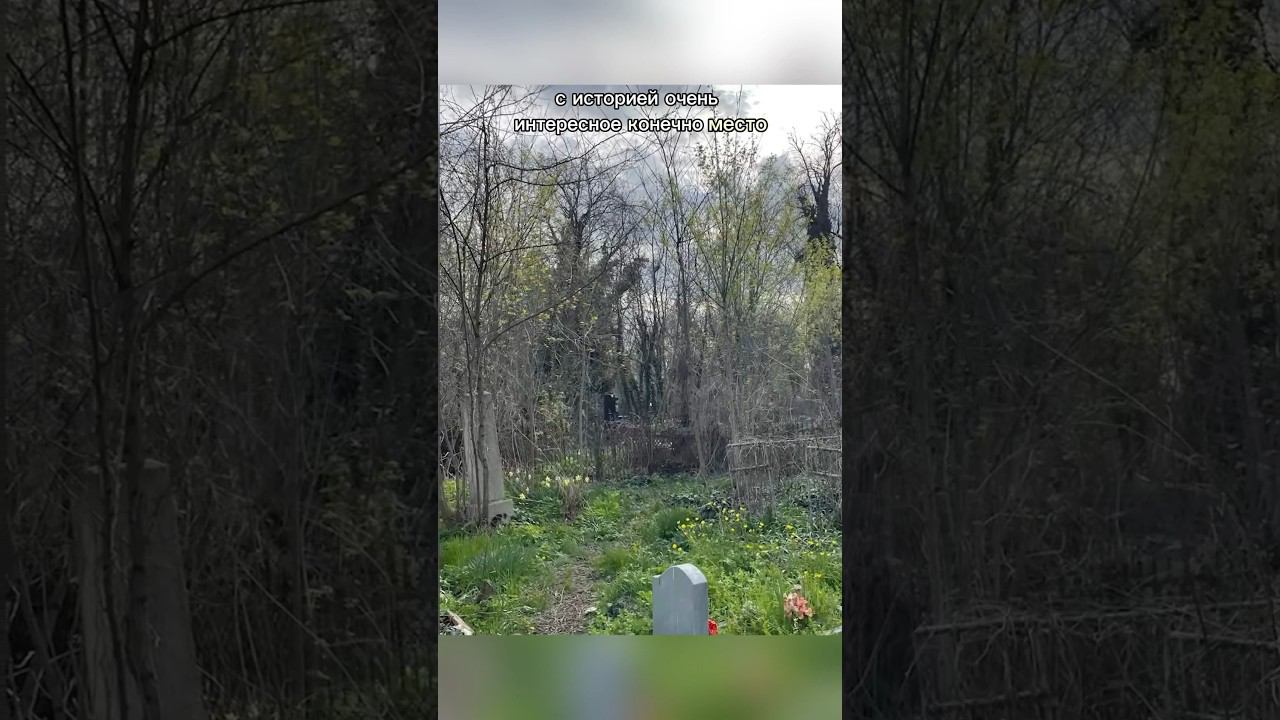 Пошел на необычное кладбище #краснодар #травелблог #студент