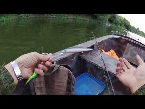 "Трудный день", часть 2 "Пакетик и два Судачка", рыбалка на реке Дон.