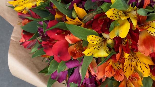 51 альстромерия яркий микс смотреть онлайн