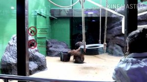 #жизньвроссии #семьявроссии #зоопарк #Ижевск Идём в зоопарк