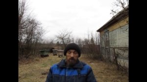 Какими дровами лучше топить печь