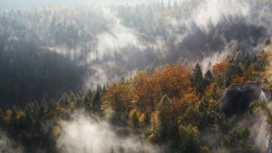 Dean Evenson · Scott Huckabay. Beyond Body