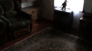 Купить сад недалеко от Челябинска в снт Железнодорожник