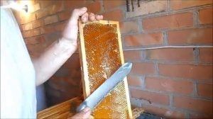 Нож Джеро или Гуслия ?