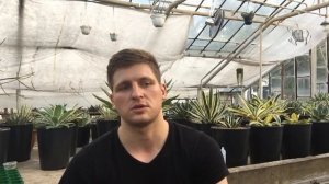 Секреты выращивания суккулентов