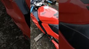 Холодный пуск хонда сбр 1000ф