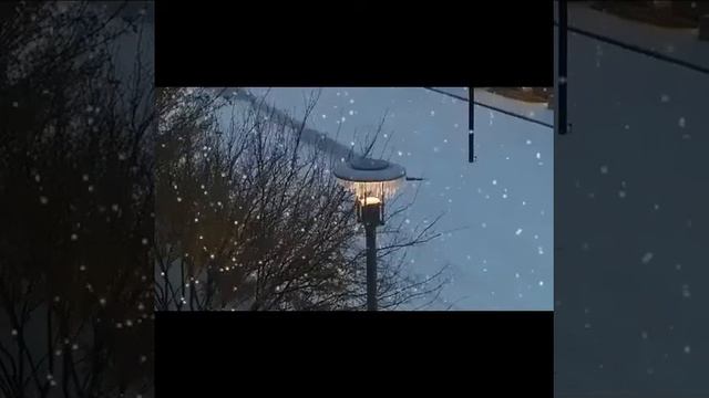 БЕЛАЯ ЗИМА София Ротару