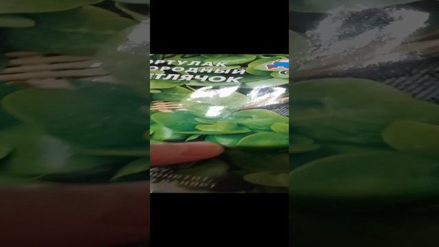 1000006897.mp4