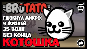 Котошка, глючный микрофон (( | 35 волн, без конца | BROTATO