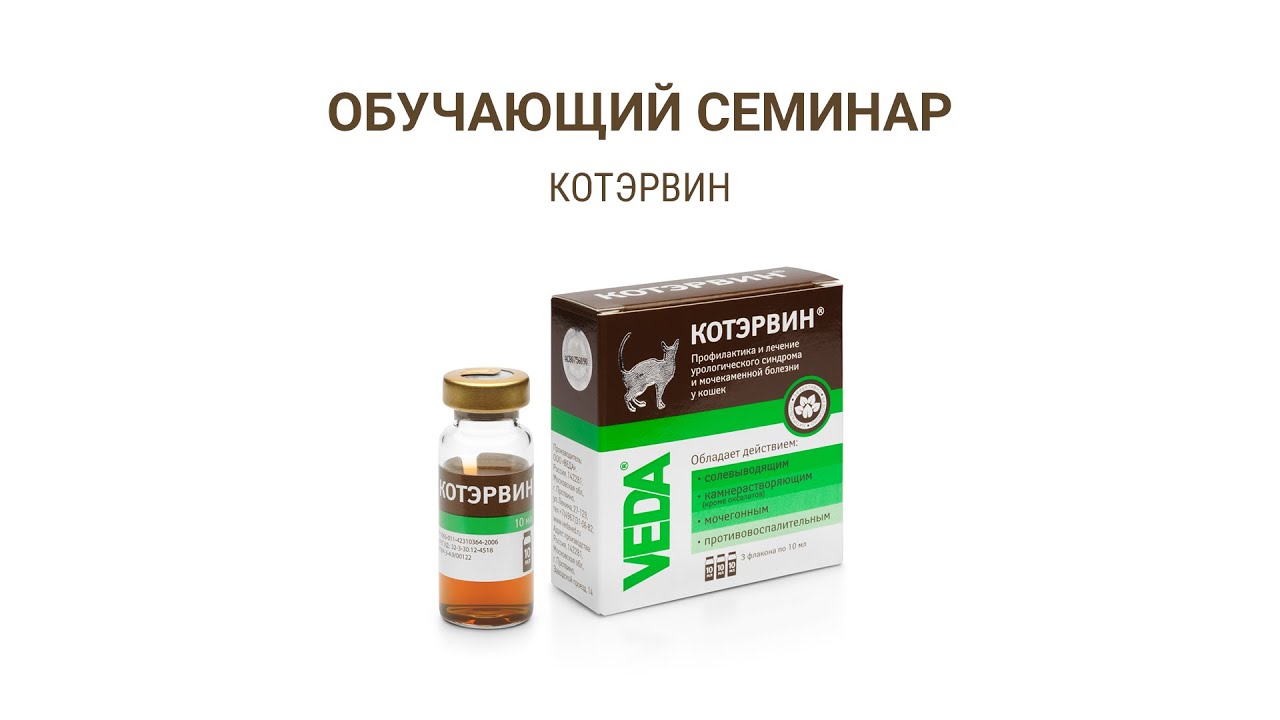 Обучающий семинар 2018 г. - 2 КОТЭРВИН