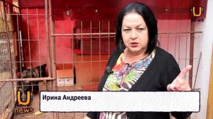 Редкую для Башкирии породу кур разводит жительница г.Октябрьский