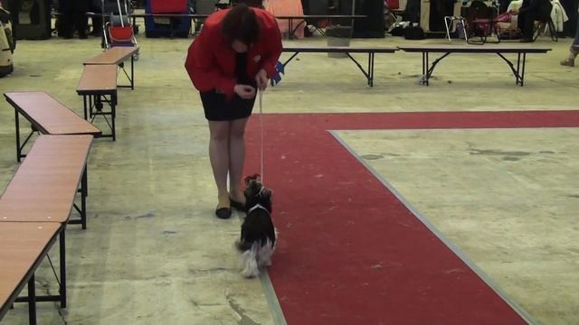 Нюша первый раз "репетирует" выставку))) смотреть онлайн