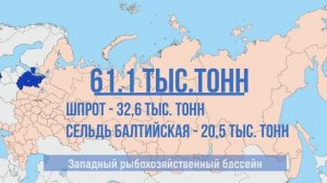 Российские рыбаки идут с превышением по объему вылова: добыто более 4,4 млн тонн, +11,7%