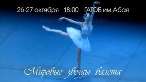 Лебединое озеро