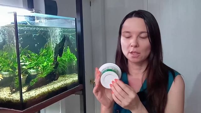 Аквариумные растения на земле / как высаживать в горшочки