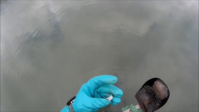 Потерянный пляж. Поиск золота. Часть вторая / Lost beach. Part 2 смотреть онлайн