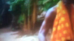 Катя денисова парк