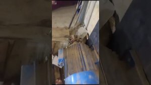 Гранулятор промышленный для пеллет ОГМ-0,8