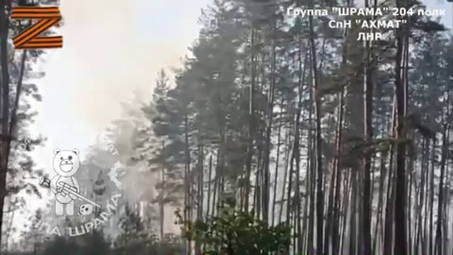 🇷🇺🔥ШРАМ обзавёлся новым противодронным  ружьём(12 калибр,8 зарядное),даже имя ему дал Ляля !!!