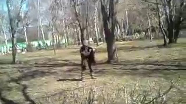 Угар Прикол Ржач Смешное Интересное Пьяный Брейкданс смотреть онлайн