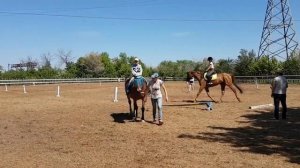 Обзорная экскурсия конный клуб Марков и К "Гармония" Оренбург