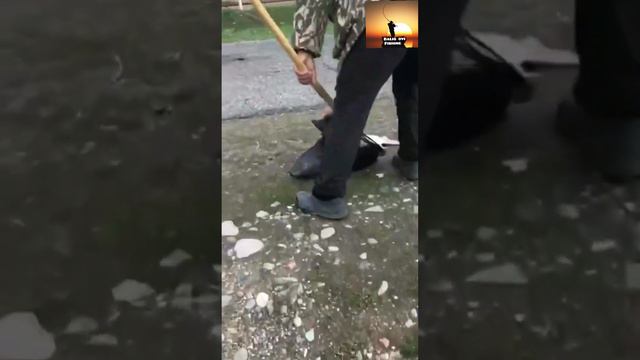 Чарбоқ. 10кг Форель. Рекорд ов смотреть онлайн